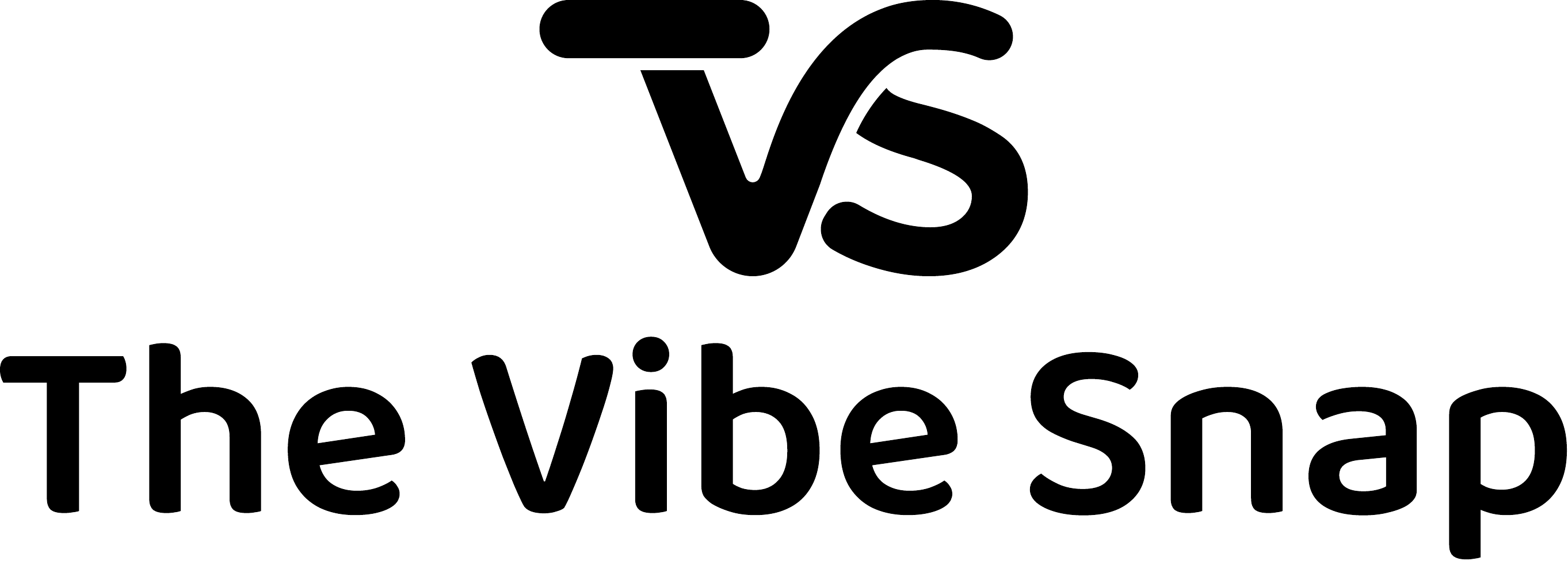 The Vibe Snap logo